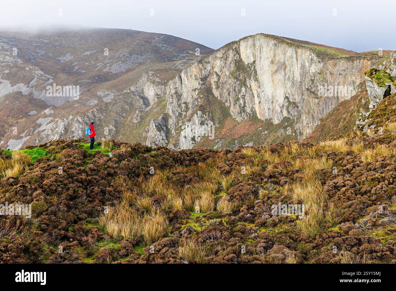 Brughiere e scogliere, Slieve League, Co Donegal, Irlanda Foto Stock