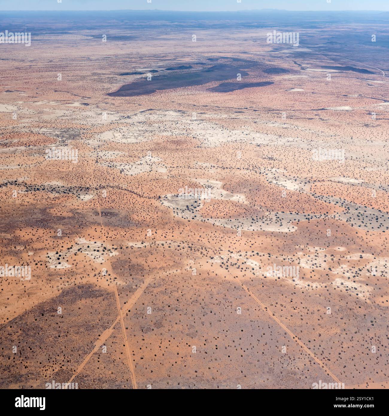 Paesaggio aereo con vegetazione sparsa sulla sabbia nel deserto del Kalahari, scattato da un aereo aliante con la luce brillante della tarda primavera vicino alla fattoria di Versailles, in Namibia Foto Stock