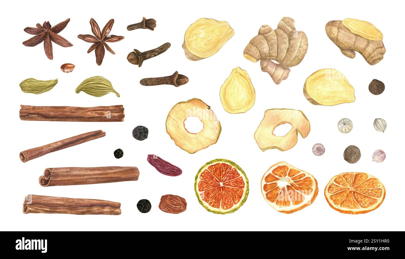 Miscela di spezie e fette di frutta secca Imposta sfondo isolato per illustrazione ad acquerello. Cannella, cardamon, anice stellato, chiodi di garofano, pepe, uvetta Foto Stock