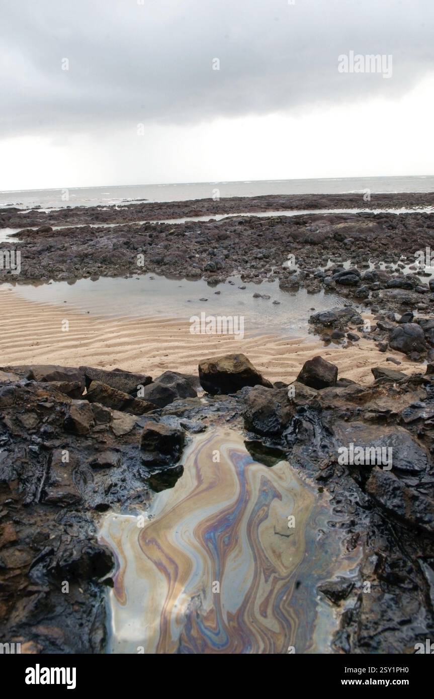 Olio lavato a terra a causa della nave container chitra che urlava in mare Bombay Mumbai, Maharashtra, India, Asia Foto Stock