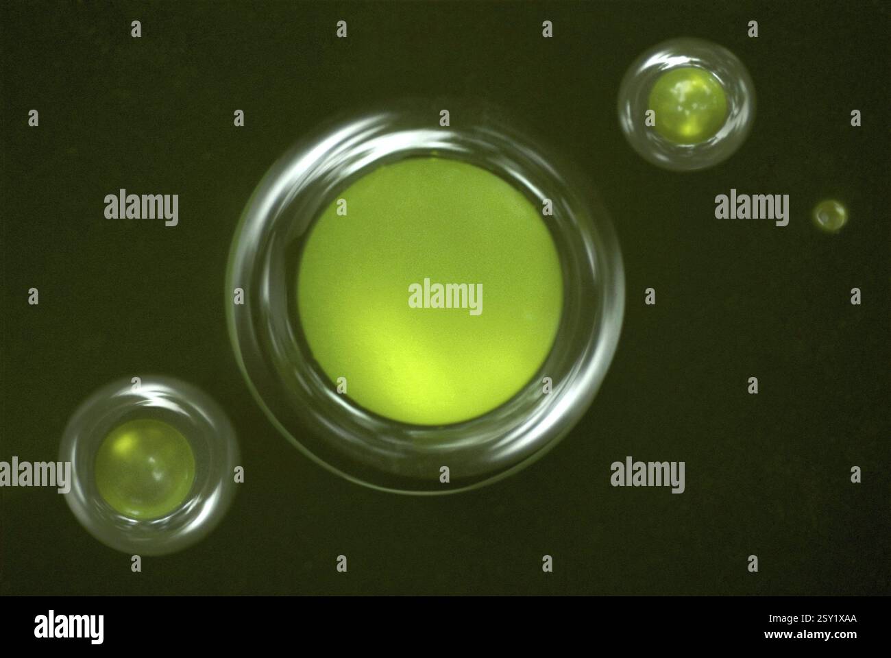 Bolle concettuali celesti a Trivandrum Kerala India Foto Stock