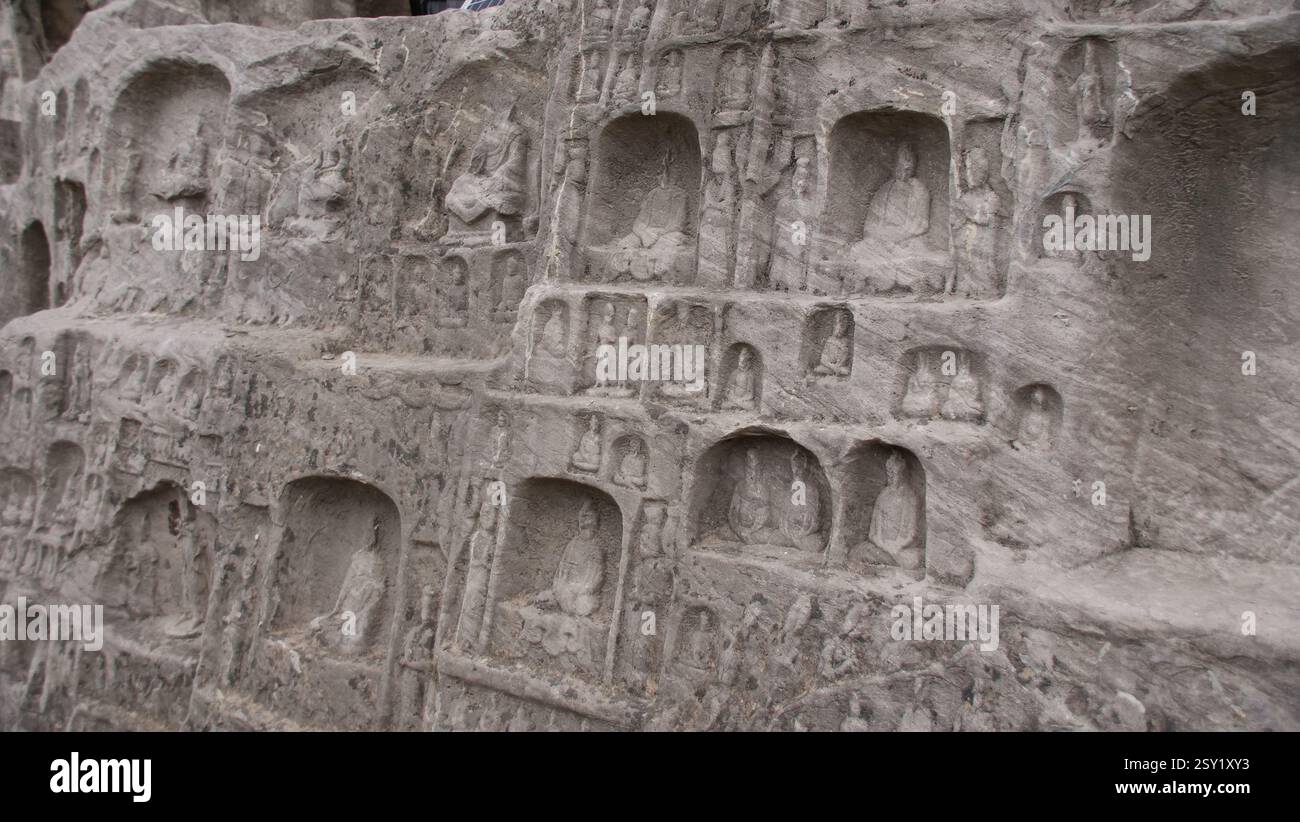 Piccoli insetti nelle nicchie delle grotte di Longmen Foto Stock