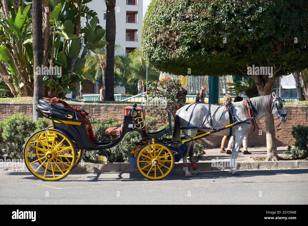 Carrozza trainata da cavalli parcheggiata sulla strada di Plaza de la Marina. Málaga, Spagna. Foto Stock