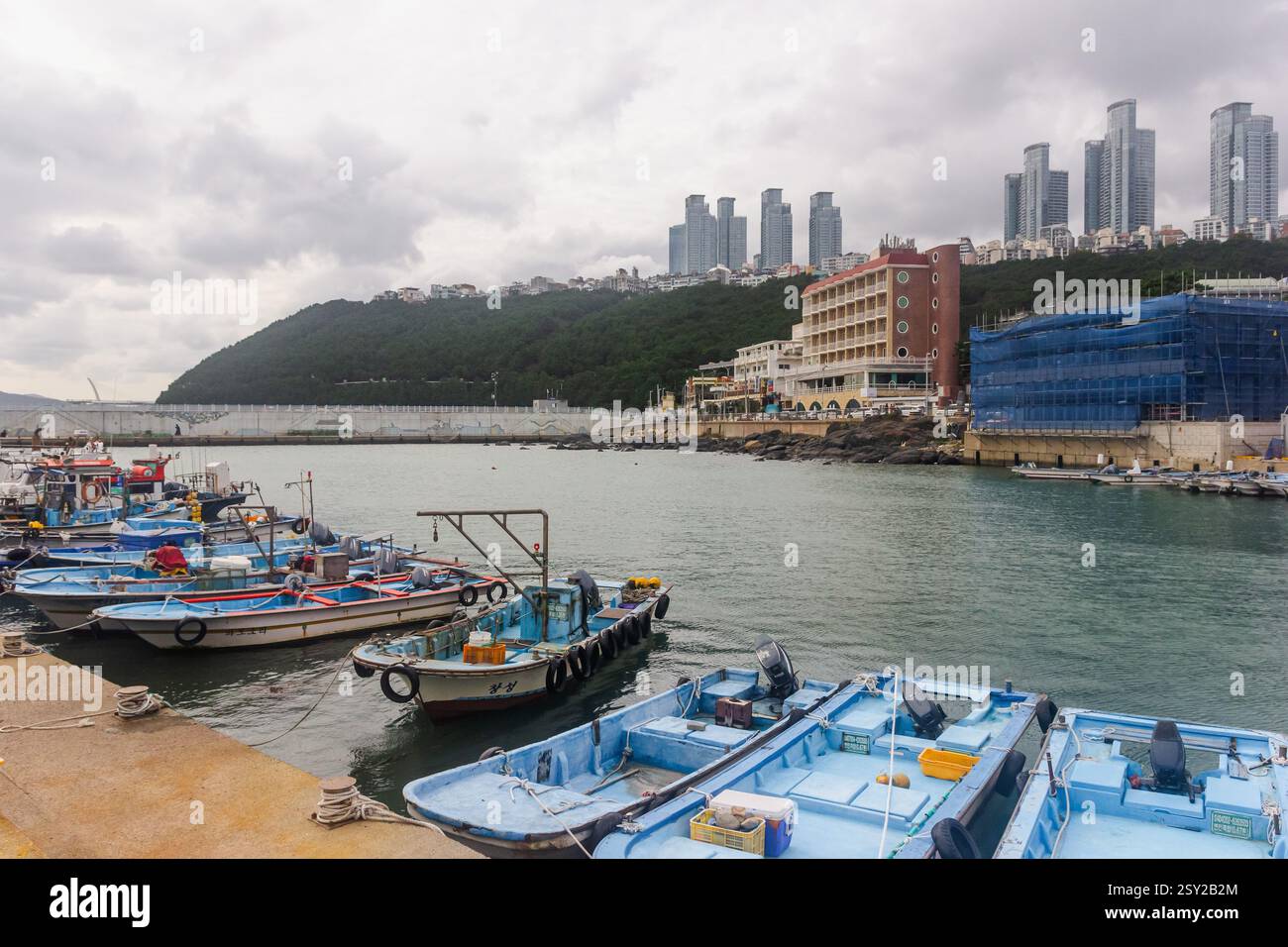 Busan, Corea del Sud - 29 ottobre 2024: Porto di pesca di Cheongsapo, che offre un'atmosfera serena e una splendida vista sul mare. Foto Stock