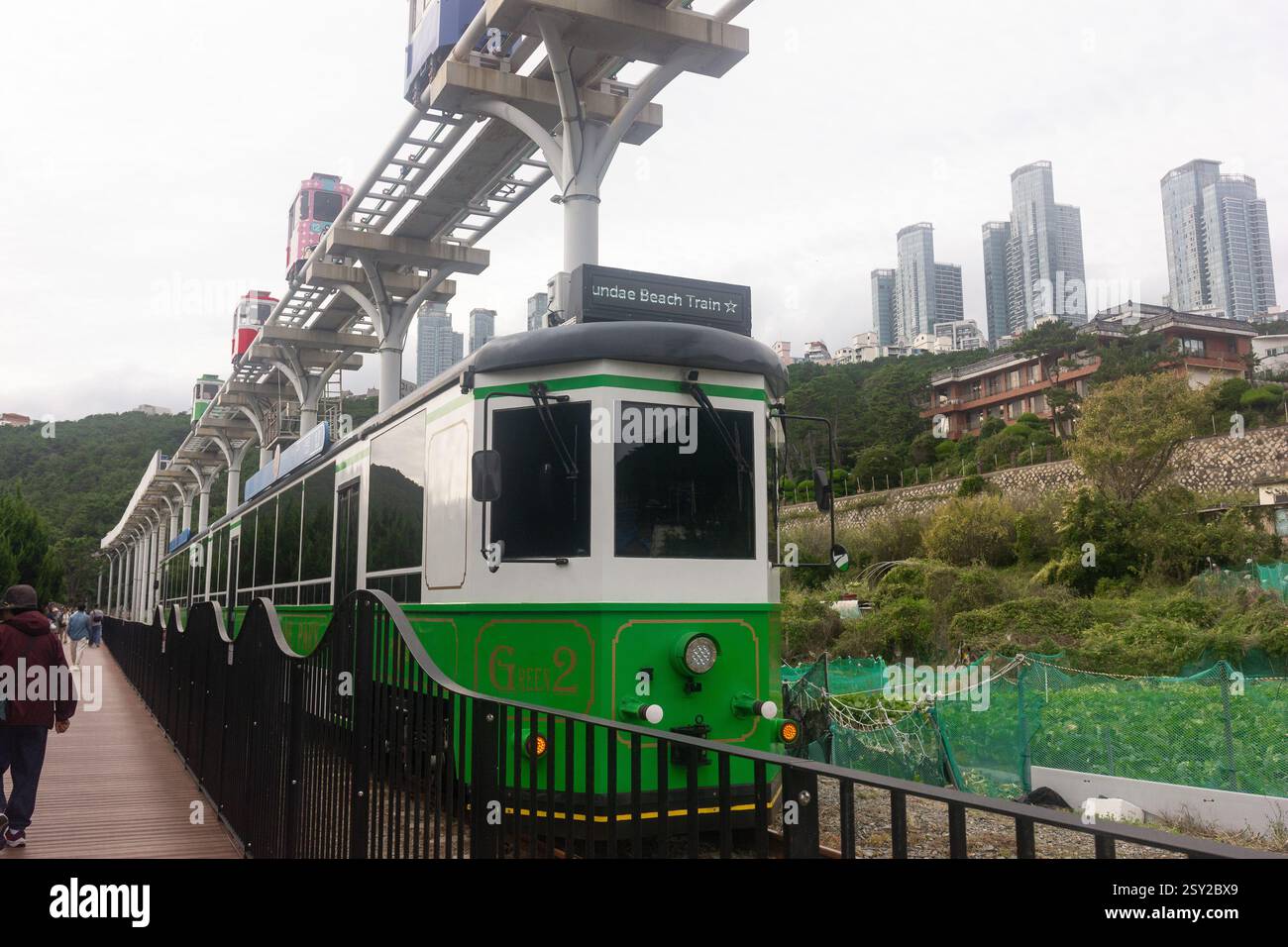 Busan, Corea del Sud - 29 ottobre 2024: Treno sulla spiaggia di Haeundae e treni colorati a capsula del cielo sulla Busan Green Railway a Busan. Foto Stock
