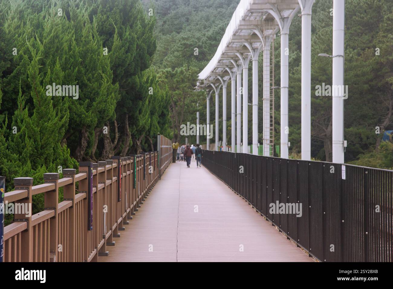 Busan, Corea del Sud - 29 ottobre 2024: Colorati treni a capsula del cielo sulla Busan Green Railway, con un sentiero a piedi e un paesaggio panoramico. Foto Stock