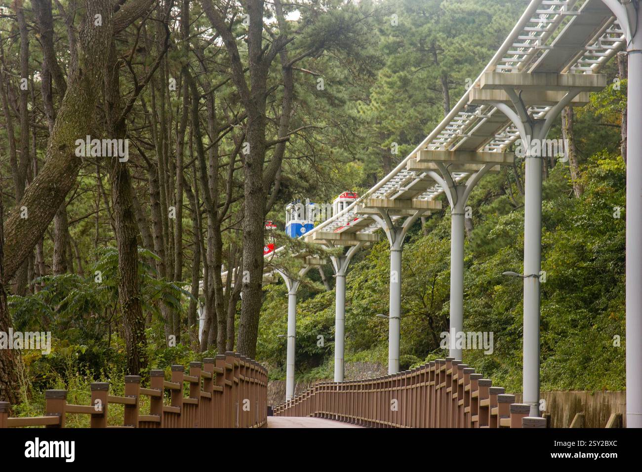 Busan, Corea del Sud - 29 ottobre 2024: Colorati treni a capsula del cielo sulla Busan Green Railway, con un sentiero a piedi e un paesaggio panoramico. Foto Stock