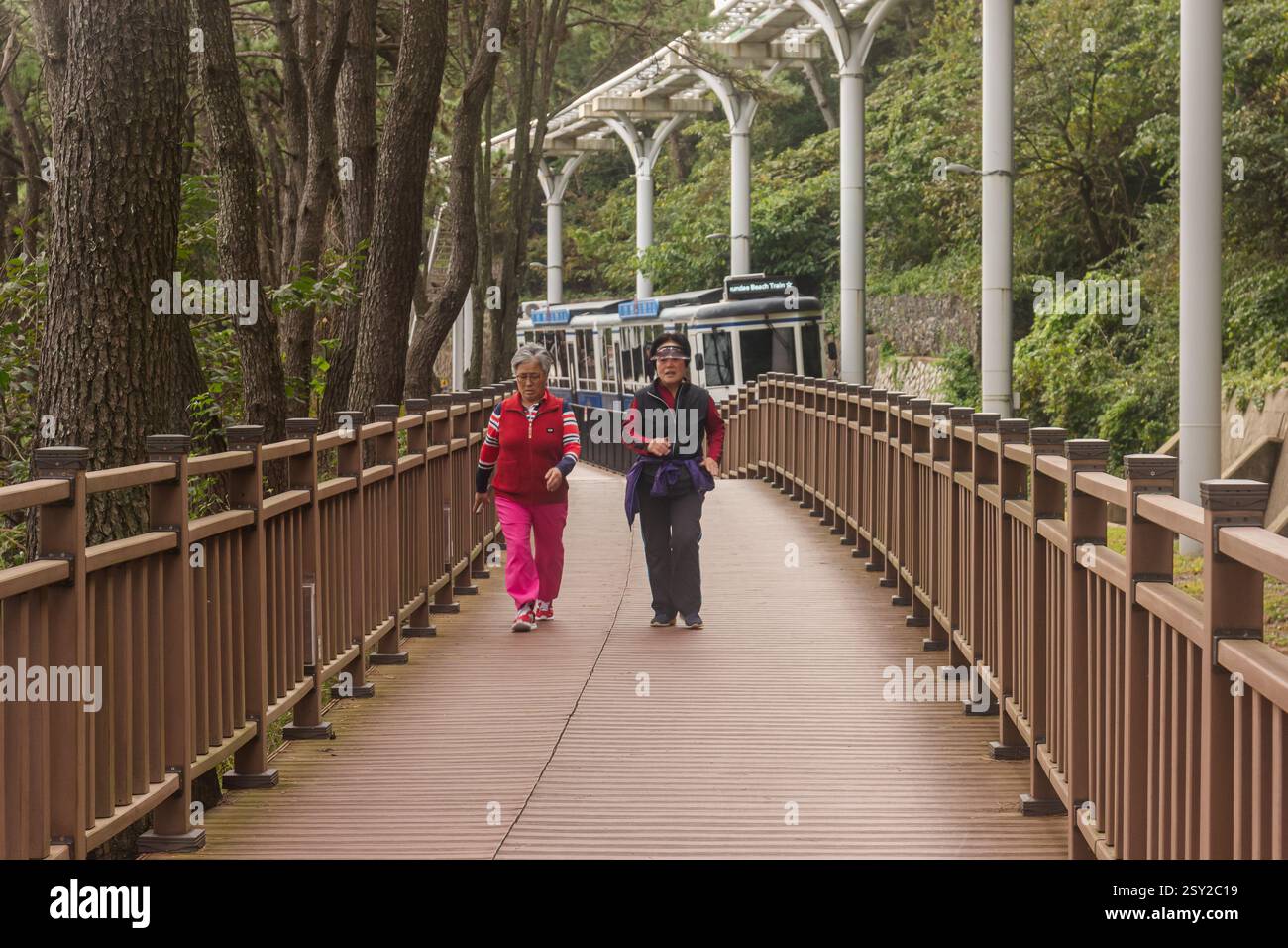 Busan, Corea del Sud - 29 ottobre 2024: Due donne asiatiche camminano sulla Busan Green Railway, nota anche come Haeundae Green Railway, un sentiero costiero a piedi Foto Stock