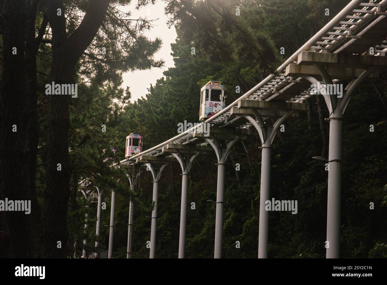 Busan, Corea del Sud - 29 ottobre 2024: Colorati treni a capsula del cielo sulla Busan Green Railway, con un sentiero a piedi e un paesaggio panoramico. Foto Stock