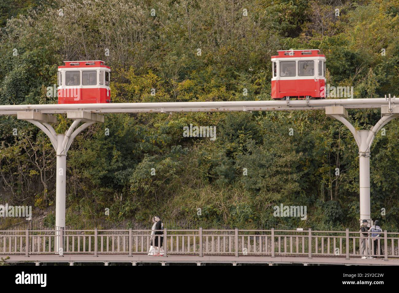 Busan, Corea del Sud - 29 ottobre 2024: Colorati treni a capsula del cielo sulla Busan Green Railway, con un sentiero a piedi e un paesaggio panoramico. Foto Stock