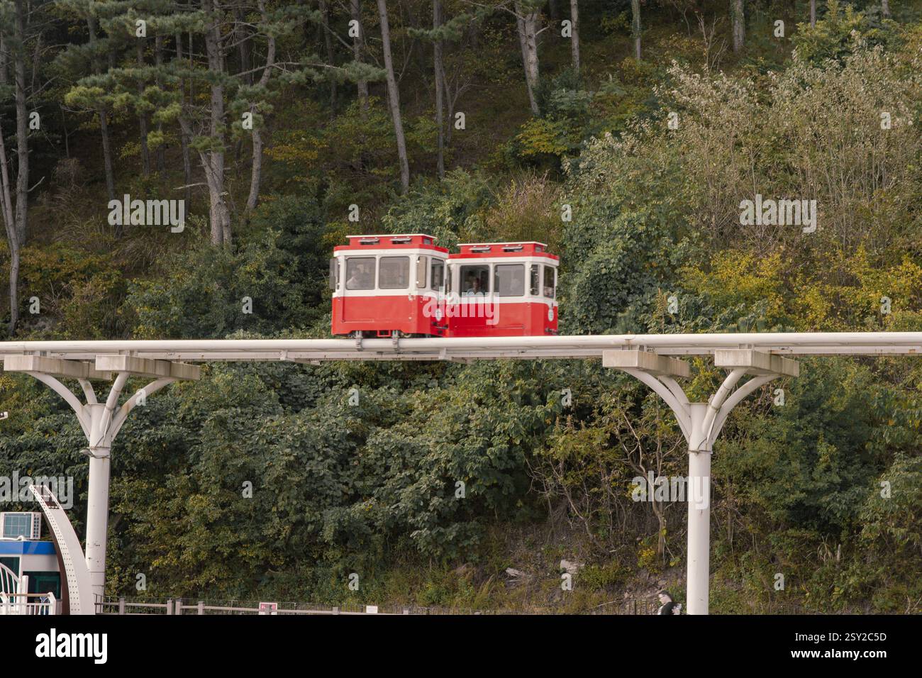 Busan, Corea del Sud - 29 ottobre 2024: Colorati treni a capsula del cielo sulla Busan Green Railway, con un sentiero a piedi e un paesaggio panoramico. Foto Stock