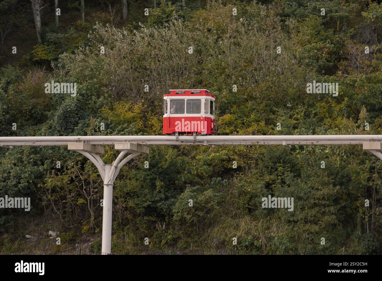 Busan, Corea del Sud - 29 ottobre 2024: Colorati treni a capsula del cielo sulla Busan Green Railway, con un sentiero a piedi e un paesaggio panoramico. Foto Stock