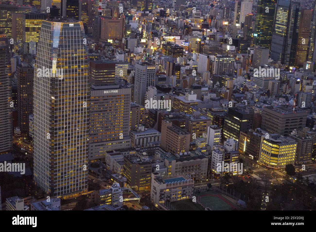 Vista aerea di Tokyo, Giappone Foto Stock