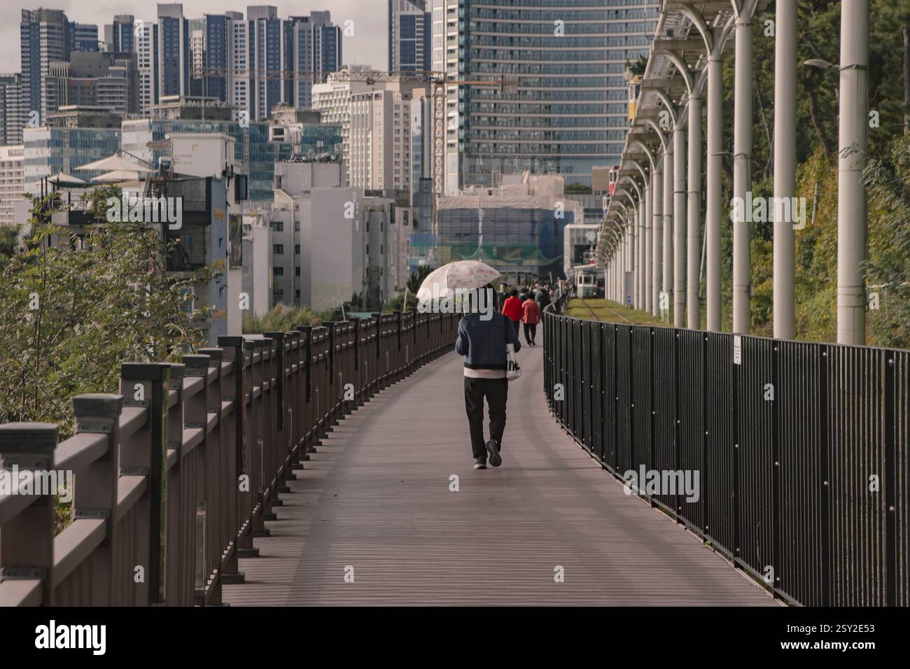 Una donna con un ombrello che cammina sul ponte di legno della ferrovia verde di Busan ( nota anche come ferrovia verde di Haeundae) Foto Stock