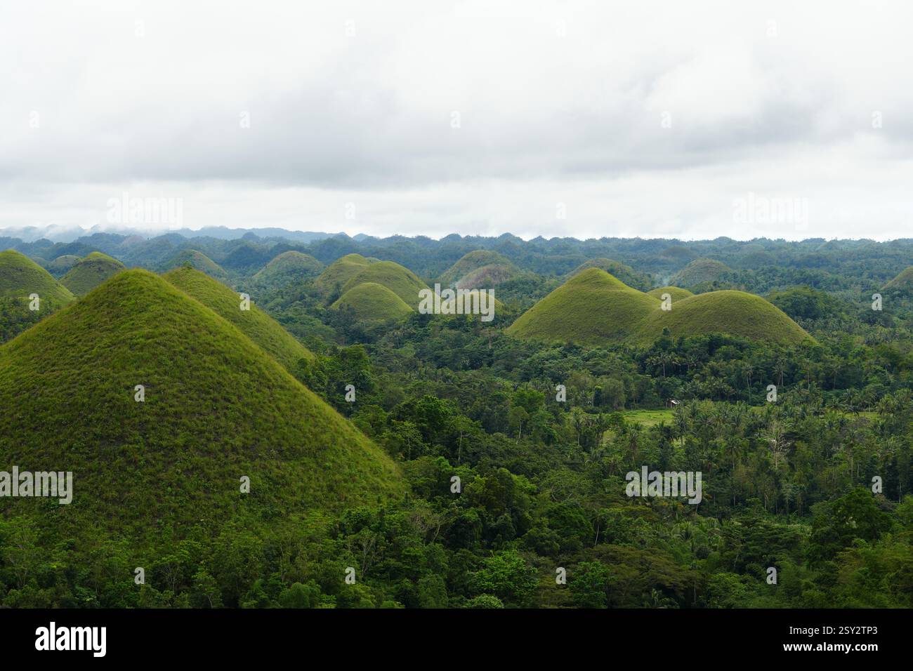 Chocolate Hills, Provincia di Bohol, Filippine Foto Stock