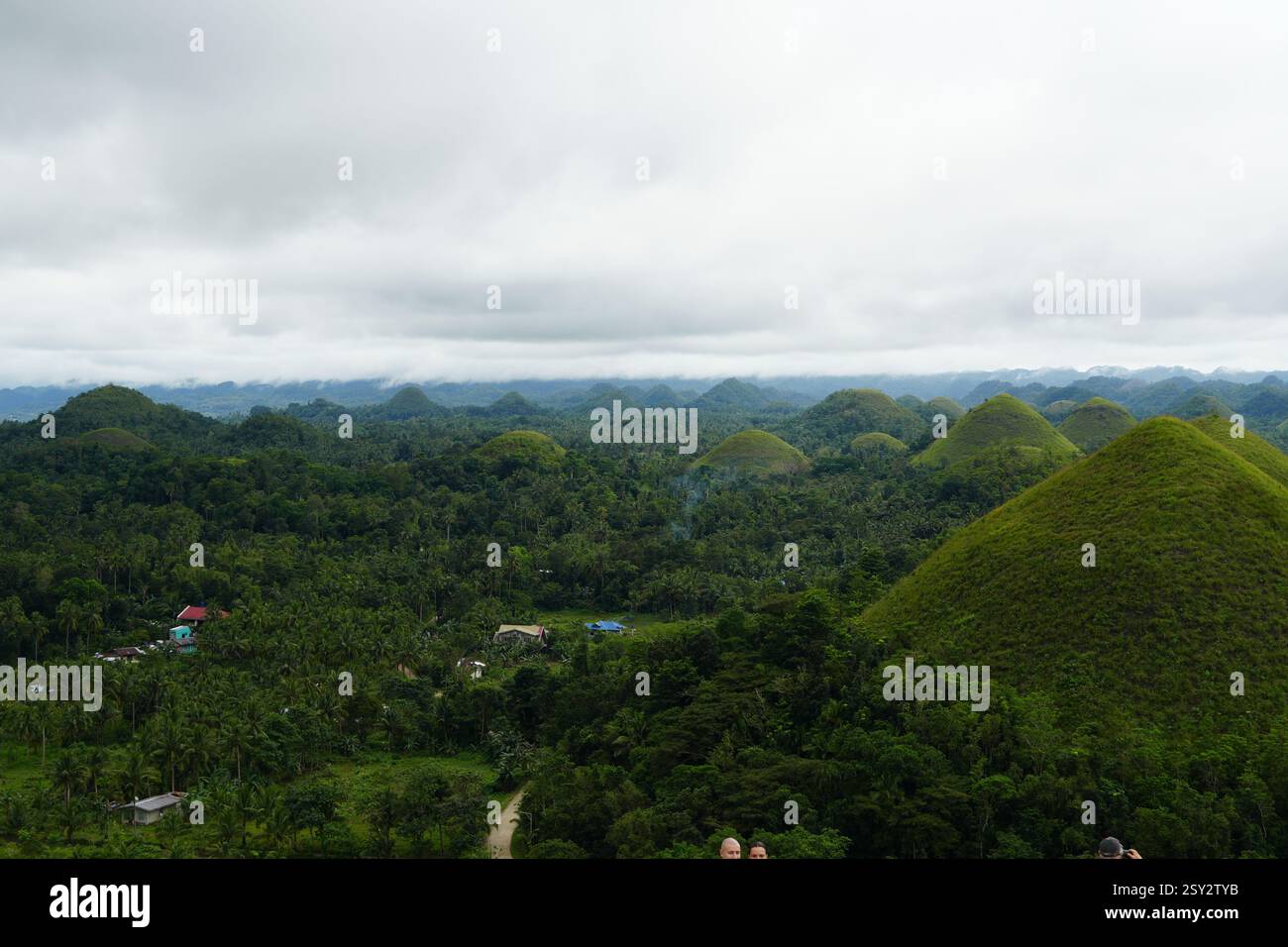 Chocolate Hills, Provincia di Bohol, Filippine Foto Stock