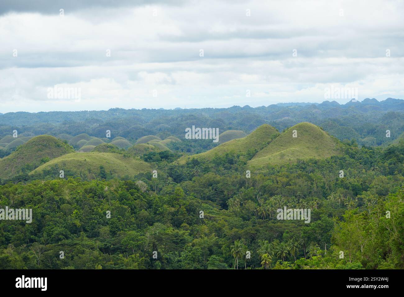 Chocolate Hills, Provincia di Bohol, Filippine Foto Stock