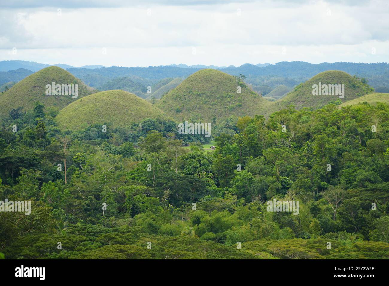 Chocolate Hills, Provincia di Bohol, Filippine Foto Stock