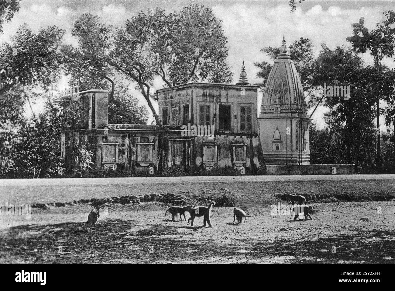 Vecchia foto d'epoca del tempio delle scimmie Roorkee uttarakhand India Foto Stock