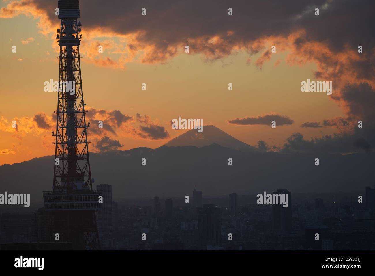 Skyline di Tokyo, Tokyo Tower e Monte fuji in lontananza, Tokyo, Giappone Foto Stock
