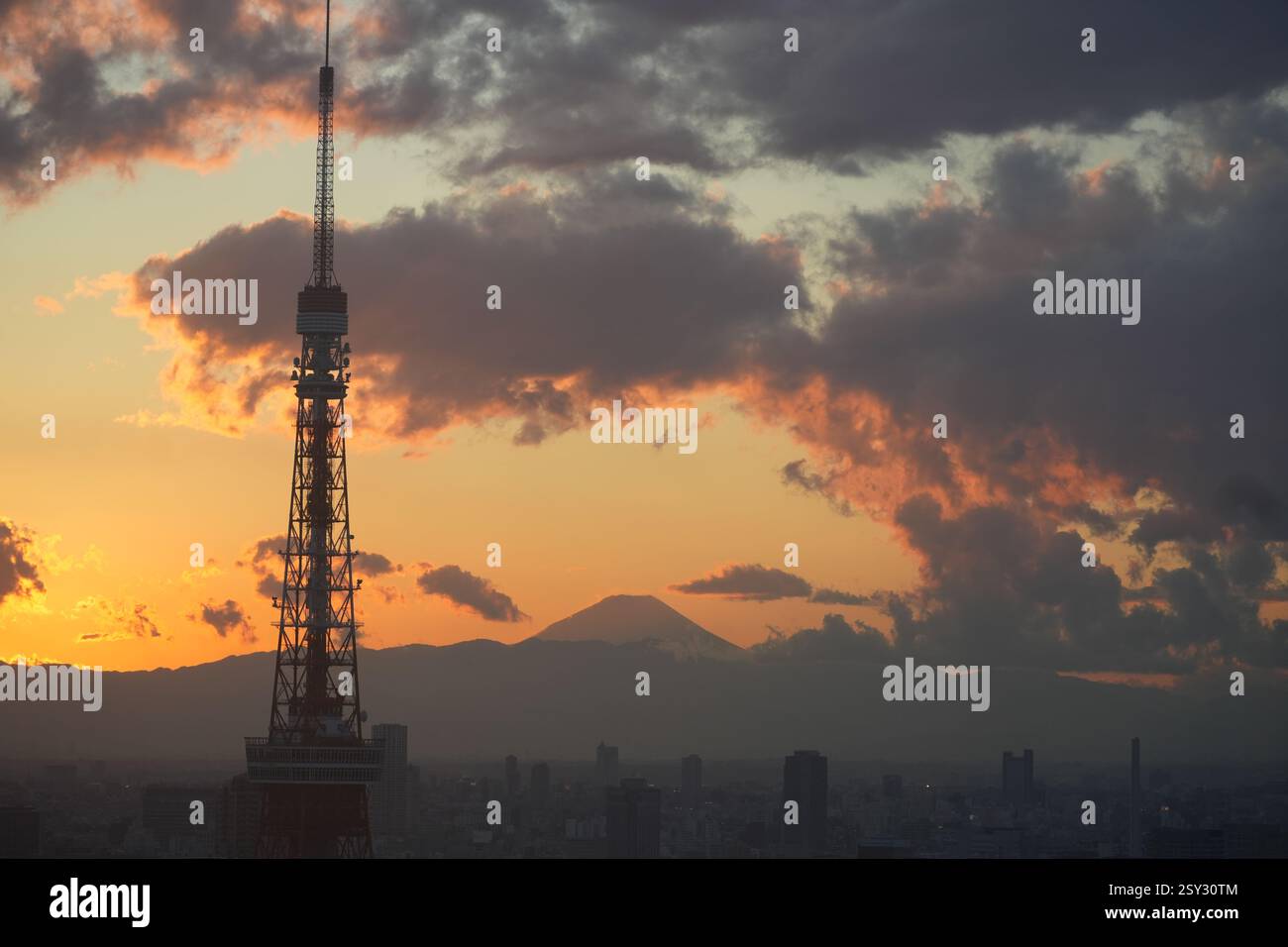 Skyline di Tokyo, Tokyo Tower e Monte fuji in lontananza, Tokyo, Giappone Foto Stock