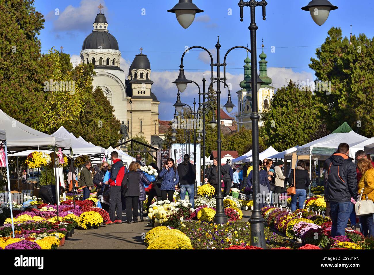 Mercato del Crisantemo di tutti i Santi a Targu Mures Foto Stock