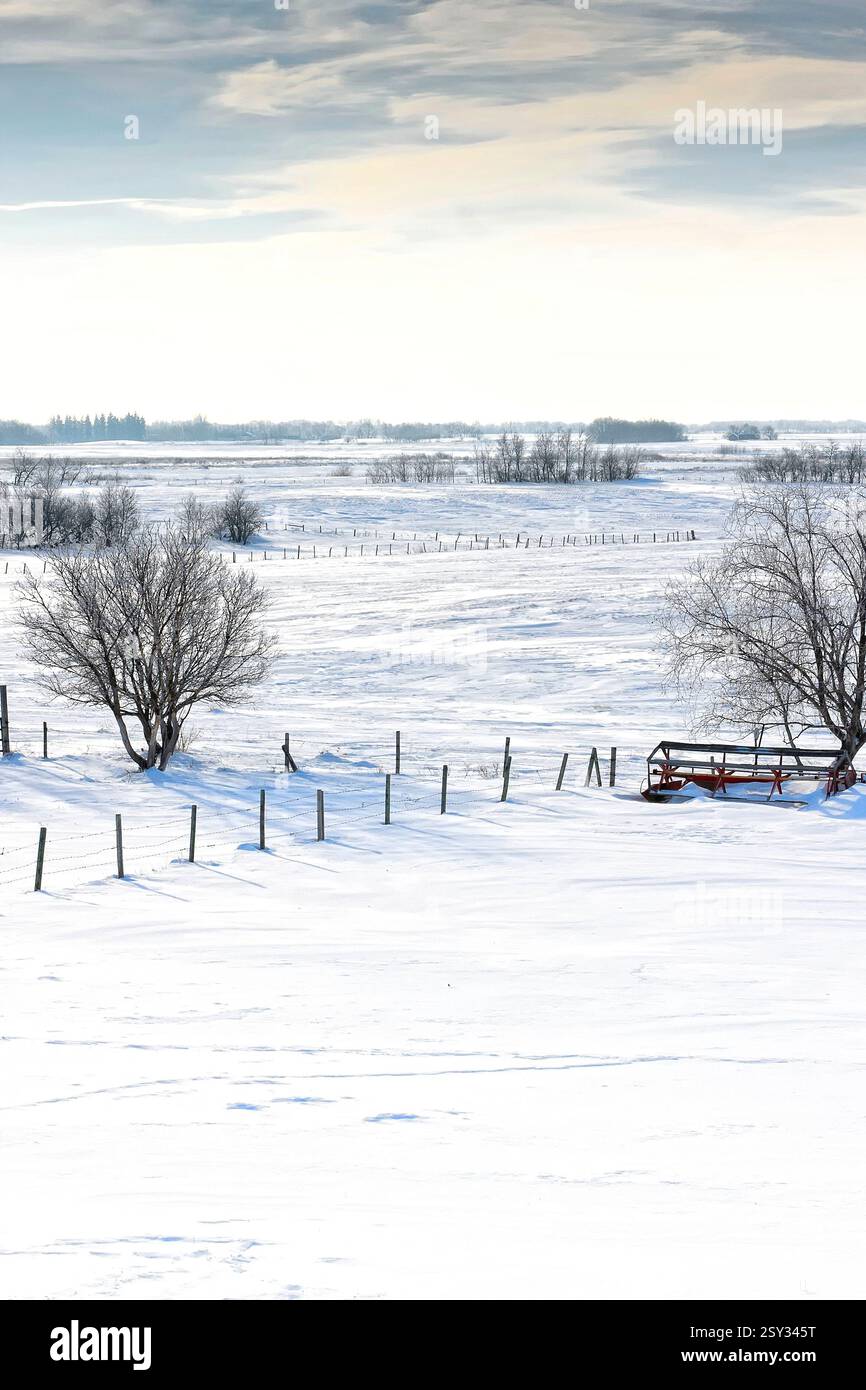 Campo innevato con una panchina rossa in primo piano. Il banco è vuoto. Il cielo è nuvoloso e la neve copre il terreno Foto Stock