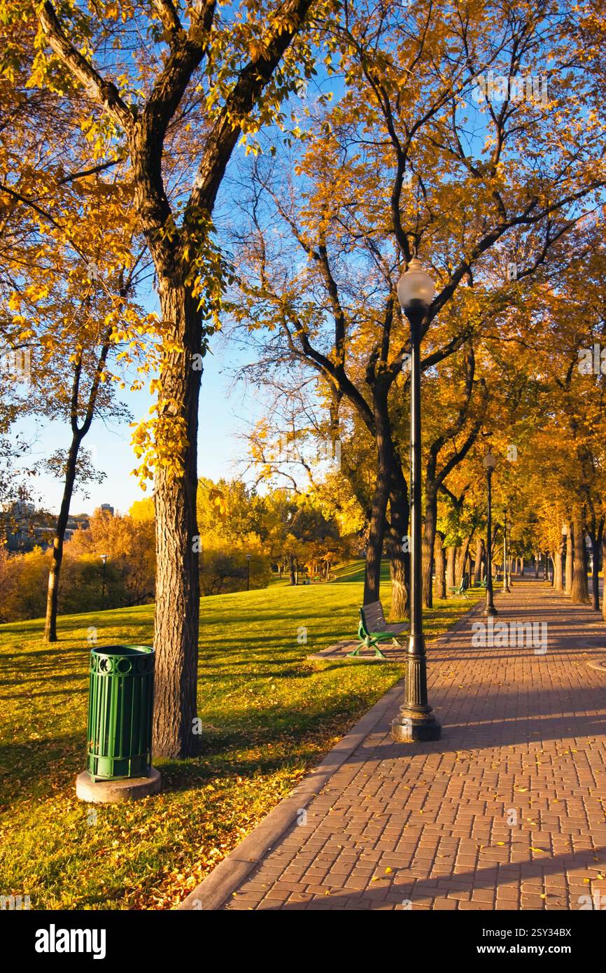 Parcheggiare con un cestino verde e un lampione stradale. Il lampione è illuminato e il parco è pieno di alberi Foto Stock