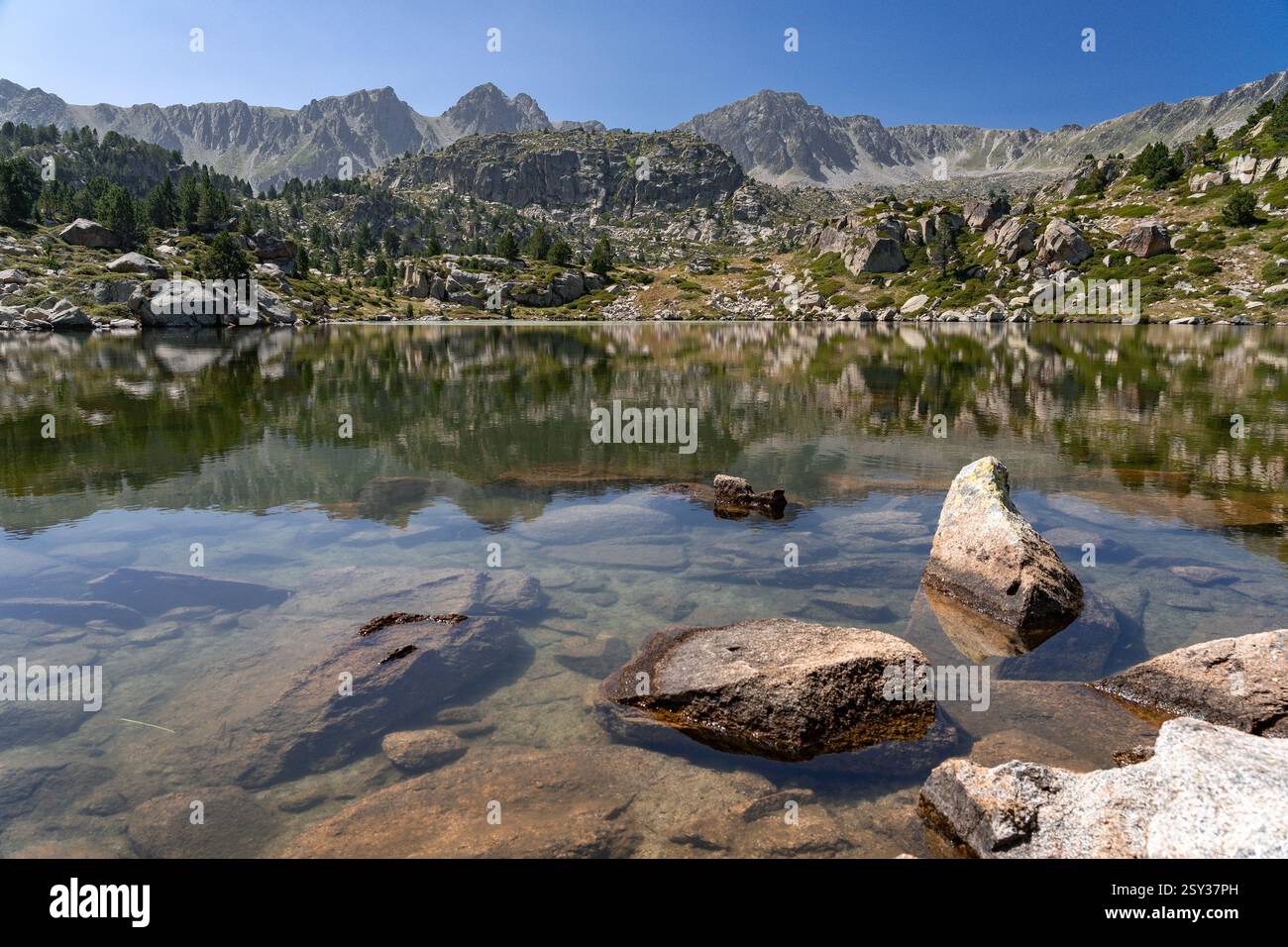 Rodo Estany dei laghi Pessons di Andorra, Pirenei. Foto Stock
