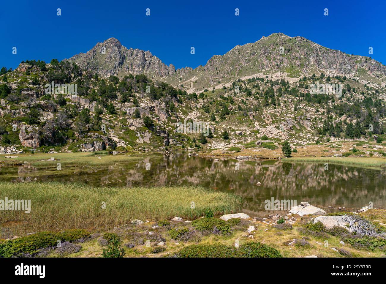 Forcat Estany dei laghi Pessons ad Andorra, Pirenei. Foto Stock