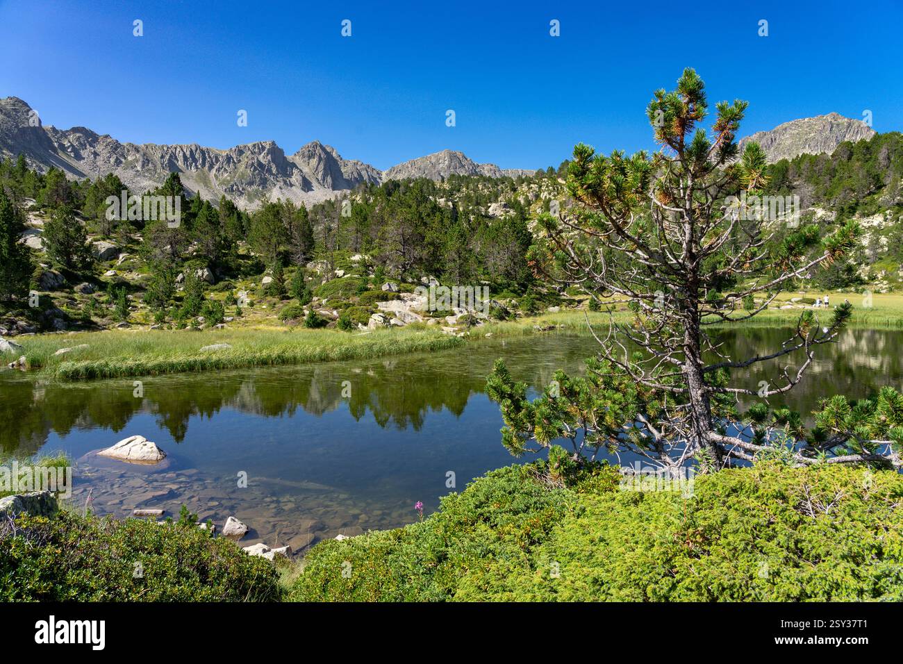 Primer Estany dei laghi Pessons ad Andorra, Pirenei. Foto Stock