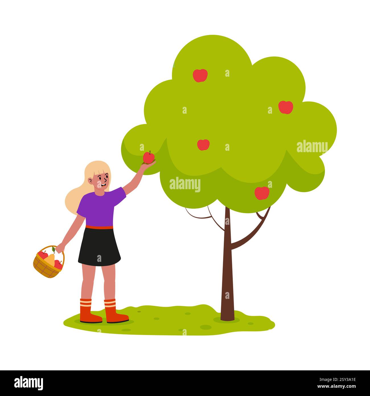 Ragazza che raccoglie mele da un albero in un frutteto soleggiato durante la stagione autunnale Illustrazione Vettoriale