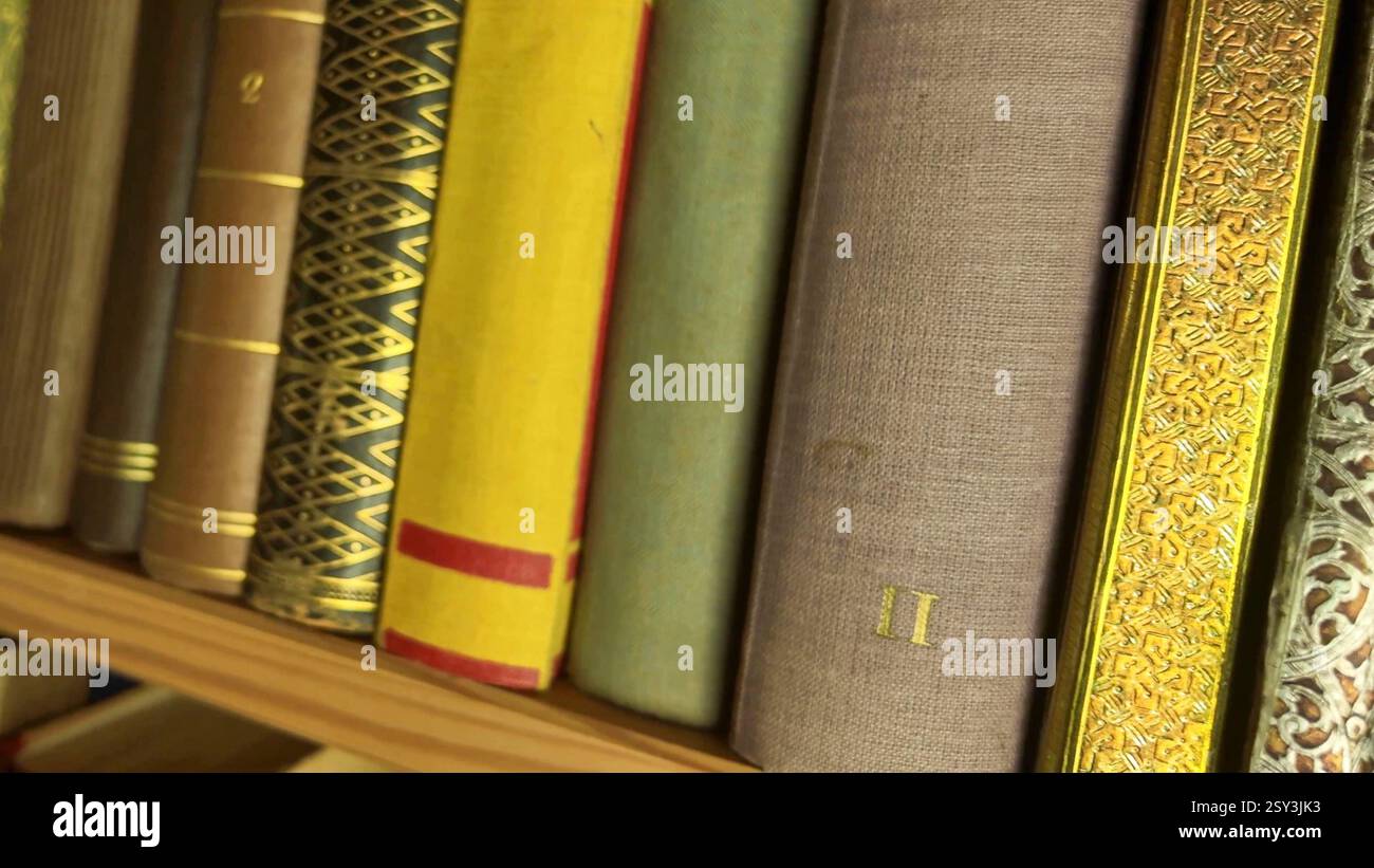 Una vista dei molti vecchi libri della collezione. Libri d'epoca in una libreria antica. Libri in una libreria o in un negozio di antiquariato. Il concetto di istruzione Foto Stock