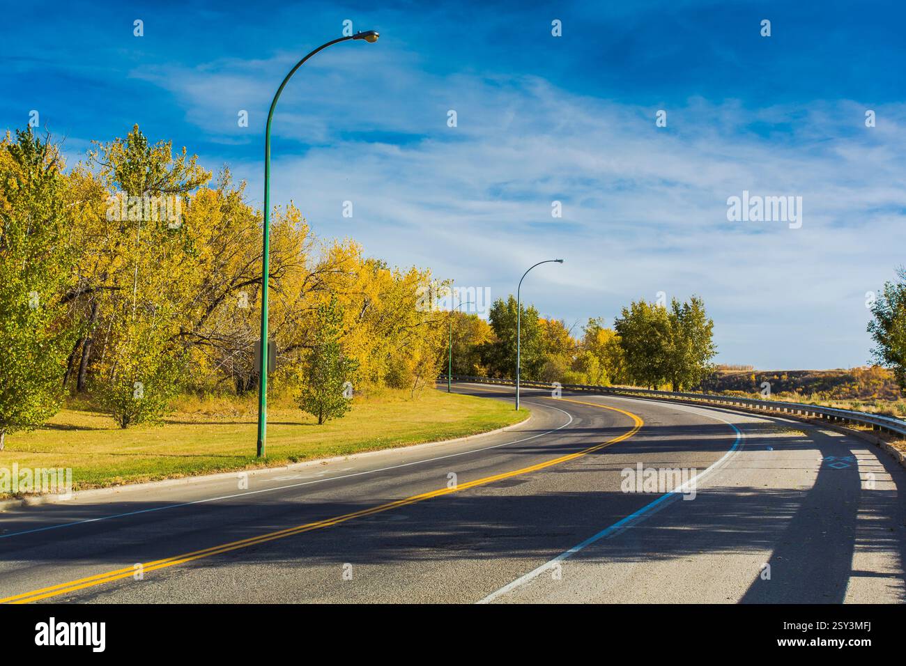 Strada con una linea gialla al centro. Ci sono alberi su entrambi i lati della strada Foto Stock
