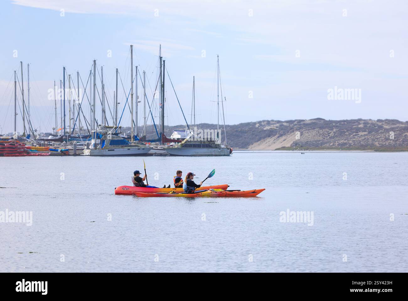 Kayak che si godono un tour di Elkhorn Slough nella baia di Monterey, California. Foto Stock