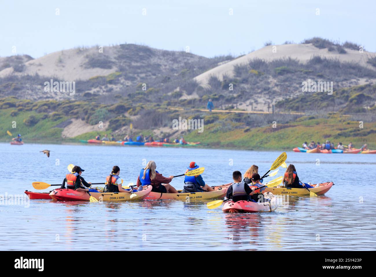 Kayak che si godono un tour di Elkhorn Slough nella baia di Monterey, California. Foto Stock