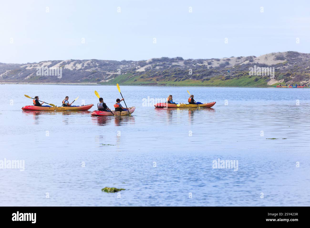 Kayak che si godono un tour di Elkhorn Slough nella baia di Monterey, California. Foto Stock