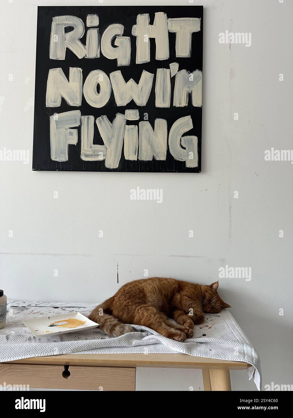 Gatto che dorme sotto l'immagine - Immagine stock catturata con smartphone