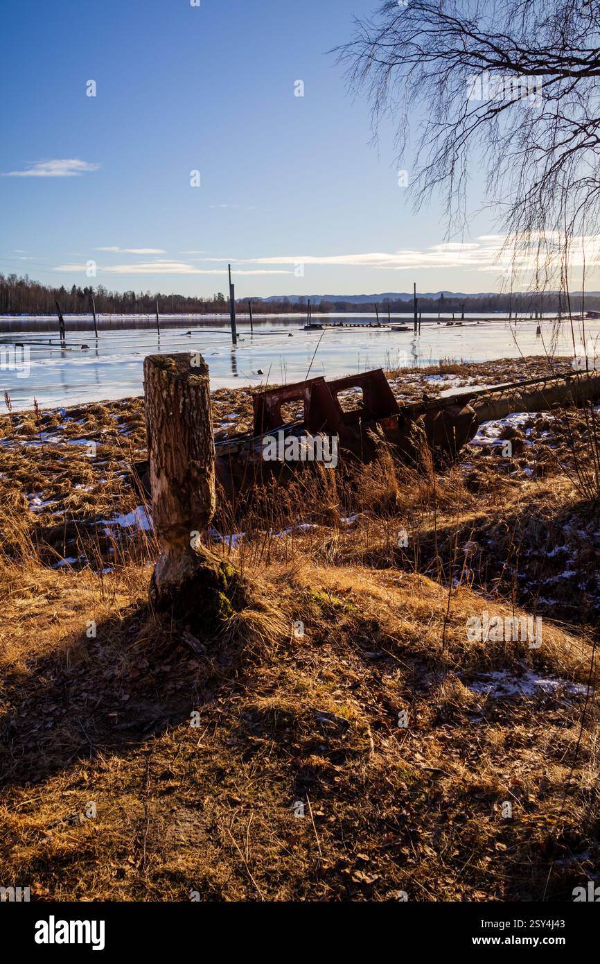 La resilienza della natura e i resti umani - dove i castori modellano la terra, il fiume si intaglia il suo percorso e il tempo lascia il segno sulla riva Foto Stock