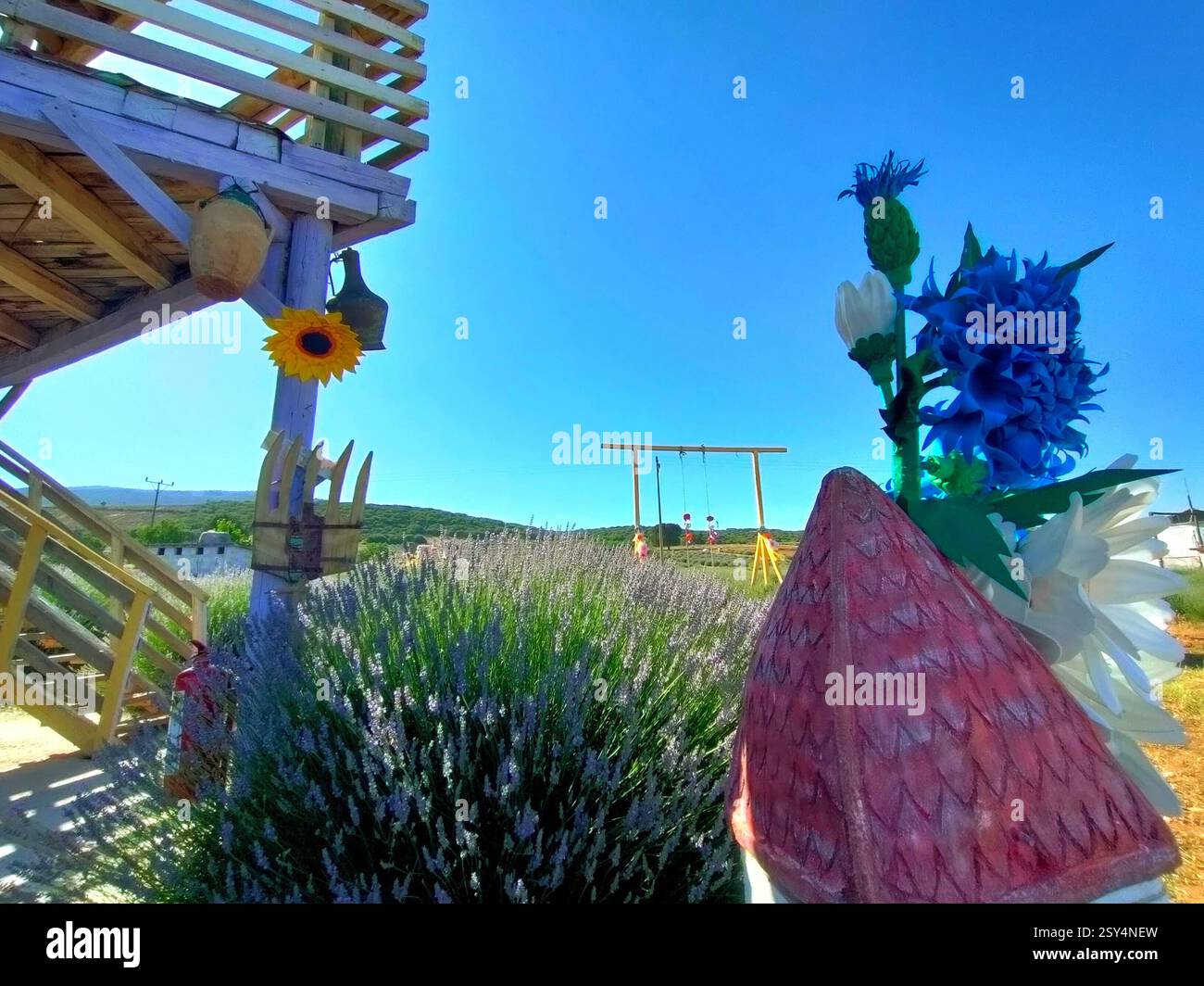 Vista di una splendida fattoria in legno d'epoca con veranda, terrazza e ornamenti decorativi in un campo di lavanda fiorente. Foto Stock