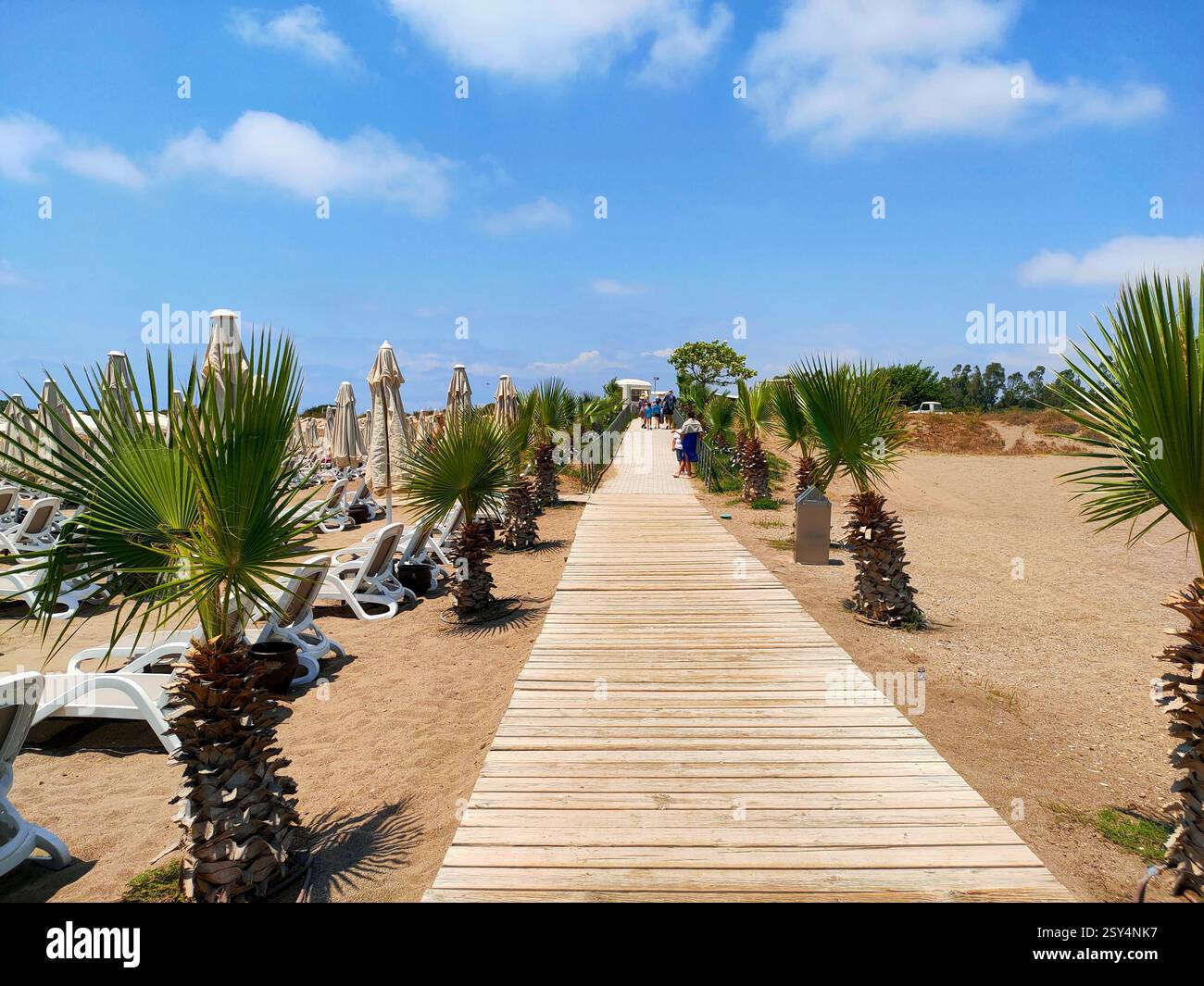 Passerella in legno per la spiaggia con palme. Foto Stock