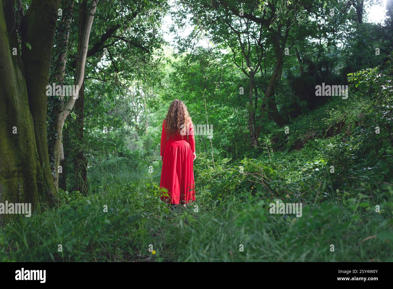 una donna misteriosa vestita di rosso cammina da sola nel mezzo di una foresta Foto Stock