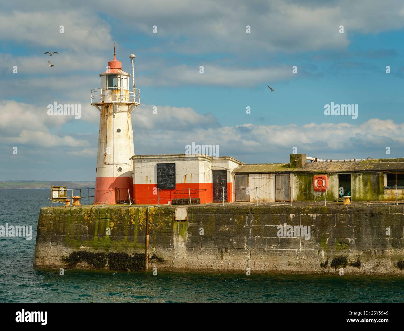 Newlyn, Cornovaglia - Newlyn in Cornovaglia è sede del più grande porto di pescatori d'Inghilterra. Una popolare destinazione di vacanza, Newlyn si trova sulle rive del Monte Foto Stock