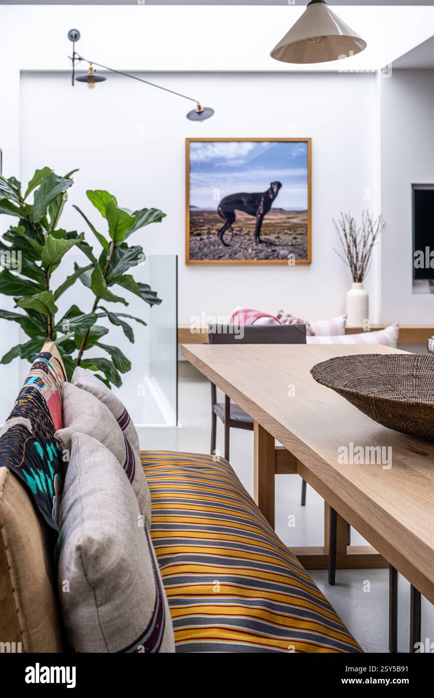 Tessuto a righe sul divano in cucina con foto del cane in un ridisegno contemporaneo della casa di West London. Foto Stock