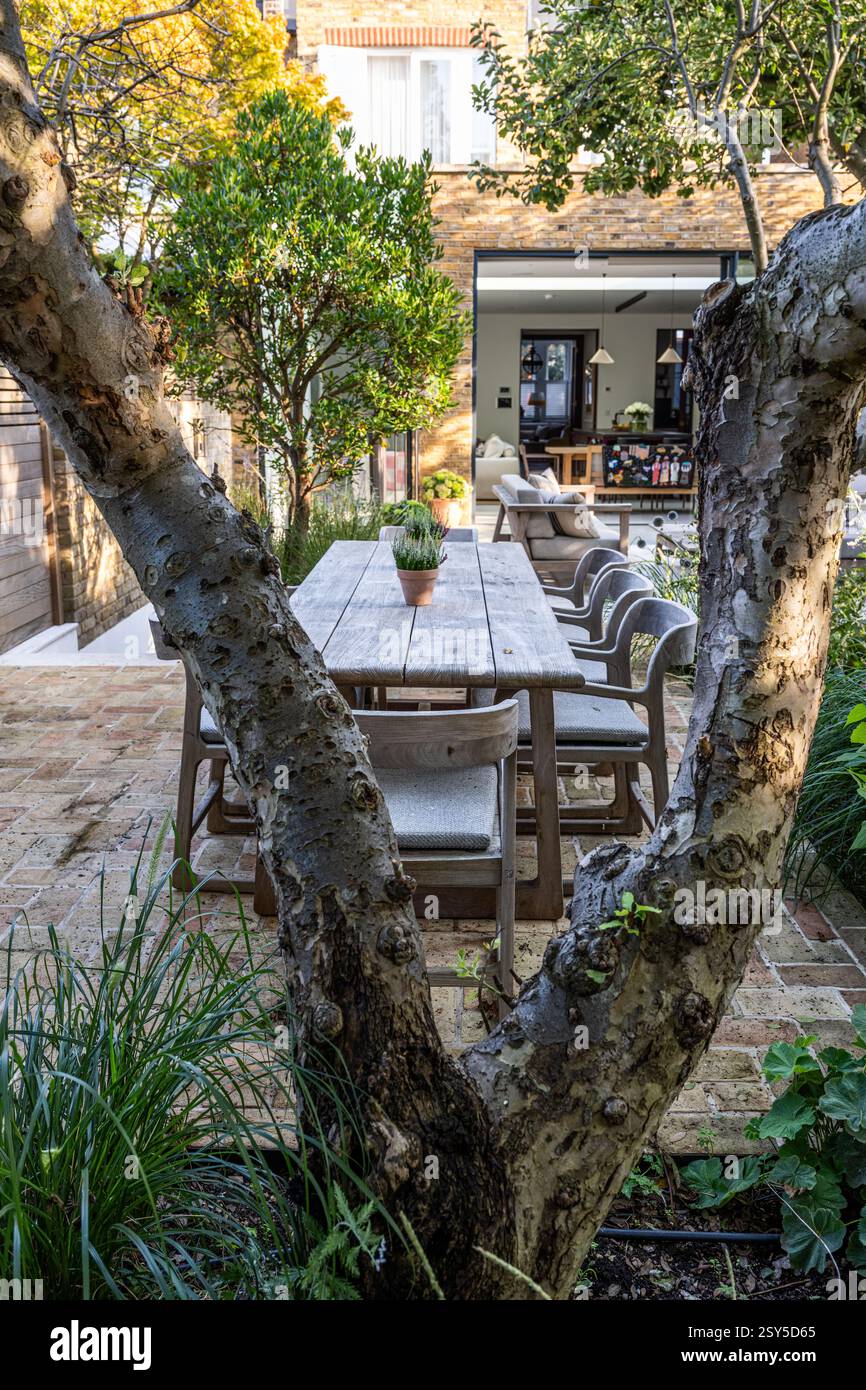 Vista attraverso tronchi alberati con posti a sedere in giardino per un ridisegno contemporaneo a bassa manutenzione della casa di West London. Design del giardino di Amelia Bouquet. Foto Stock
