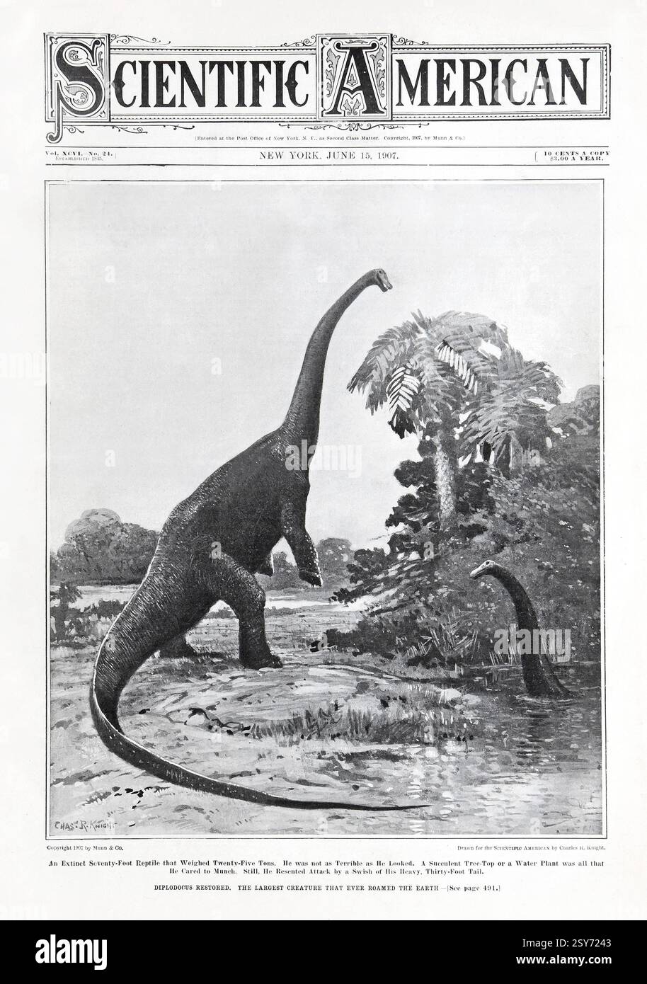 Scientific American Cover, 15 giugno 1907. Con un'immagine di un Diplodocus restaurato di Charles Knight. Foto Stock