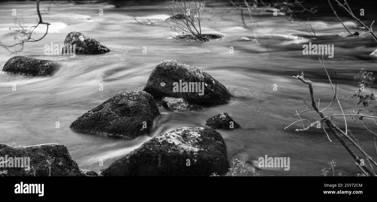 Foto in bianco e nero a lunga esposizione di un fiume sul Dartmoor, catturando l'acqua che scorre intorno a rocce e piccoli alberi Foto Stock