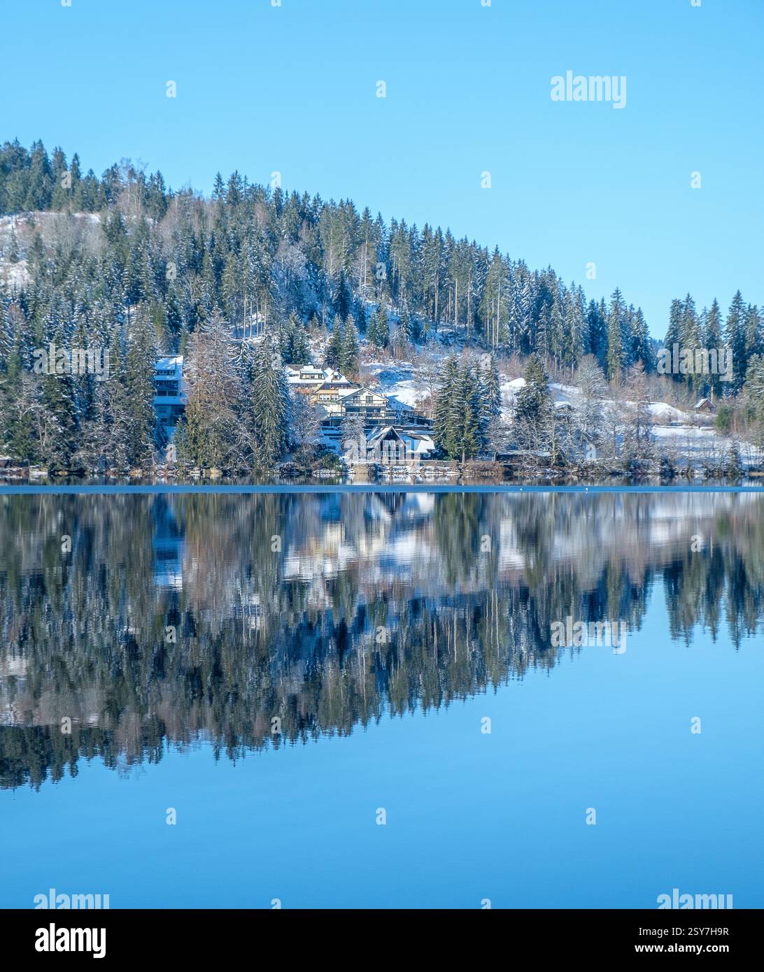Specchio d'acqua calmo e silenzio nevoso sul lago Titisee Foto Stock