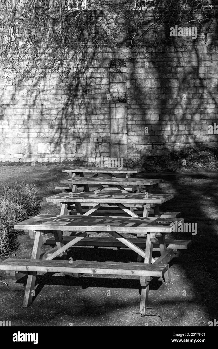 Parete in pietra medievale illuminata dal sole con ombre dei rami degli alberi e file di tavoli in legno, Museum Gardens, York, North Yorkshire, Regno Unito. Foto Stock