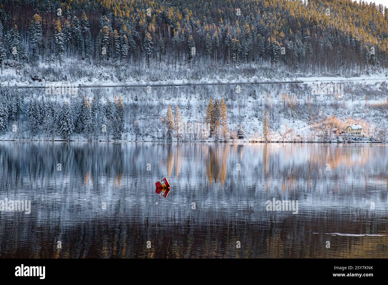 Specchio d'acqua calmo e silenzio nevoso sul lago Titisee Foto Stock